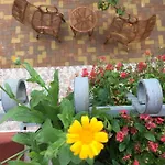 Casa Del Conte Bed and breakfast 3*