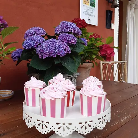 Casa Del Conte 3*