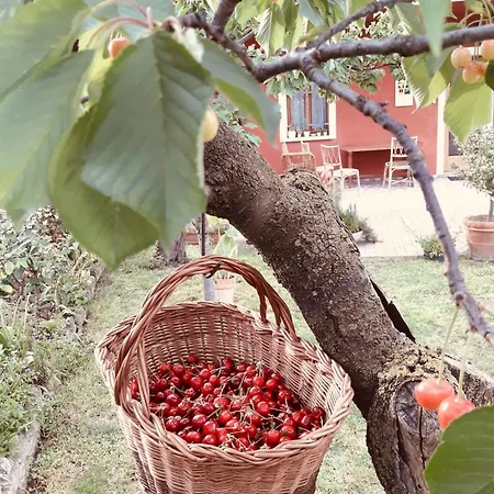 فندق مبيت وإفطار Casa Del Conte Farra di Soligo