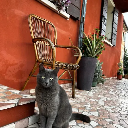 فندق مبيت وإفطار Casa Del Conte