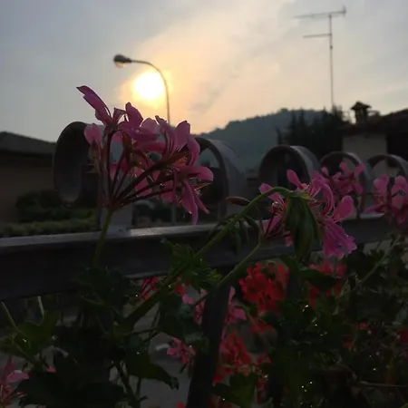 Casa Del Conte 3*