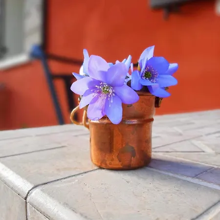 Casa Del Conte Bed & Breakfast Farra di Soligo