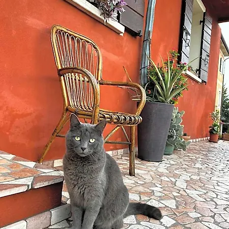 Casa Del Conte Alojamento de Acomodação e Pequeno-almoço Farra di Soligo