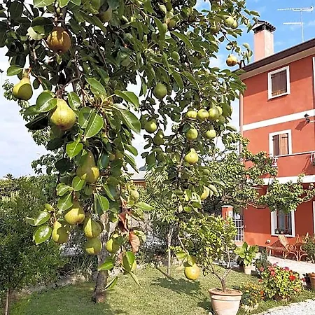 Alojamento de Acomodação e Pequeno-almoço Casa Del Conte
