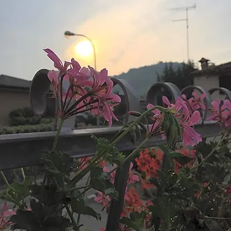 Casa Del Conte 3*