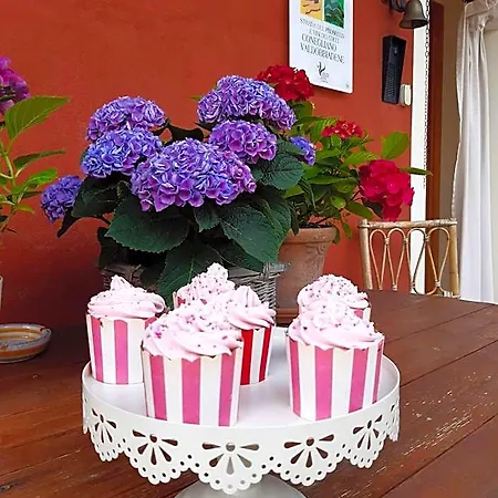 Casa Del Conte 3*