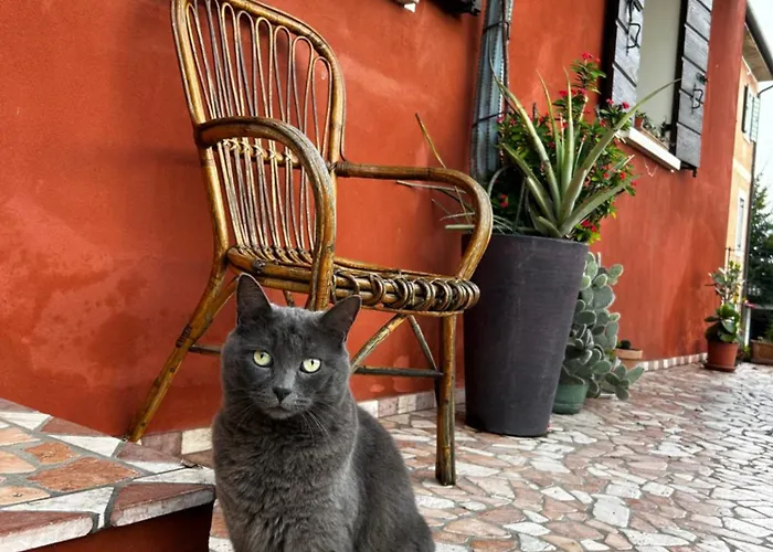 Bed & Breakfast Casa Del Conte